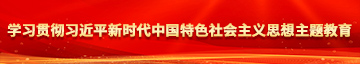 深插啊啊啊啊学习贯彻习近平新时代中国特色社会主义思想主题教育